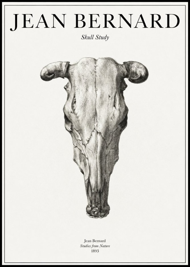 Jean Bernard Skull Study No1 - Plakat
