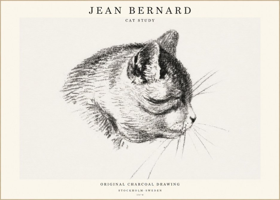 Jean Bernard Cat Study IV No1 - Plakat