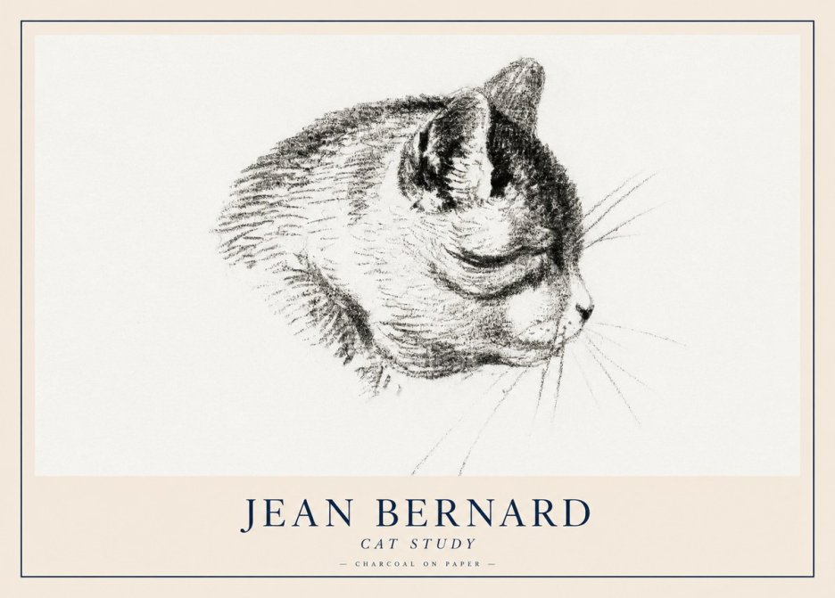 Jean Bernard Cat Study IV No2 - Plakat