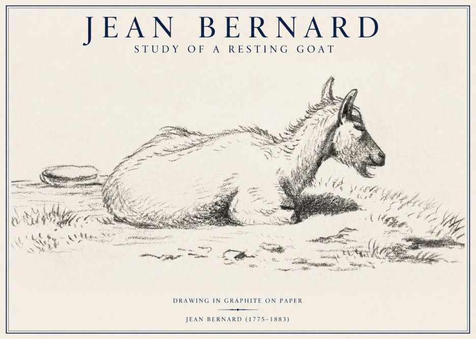 Jean Bernard Study of a Resting Goat No1 - Plakat
