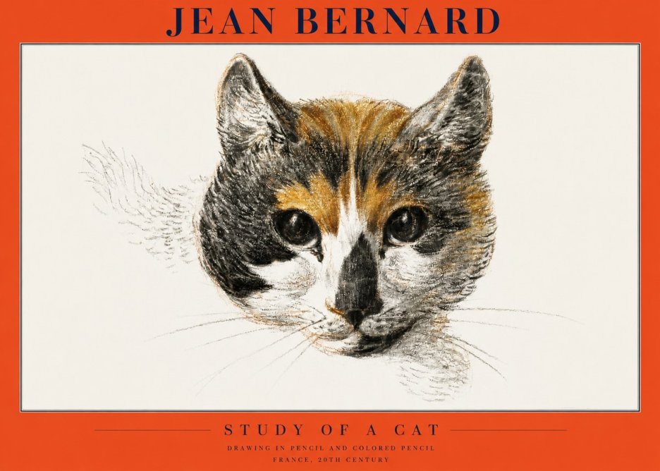 Jean Bernard Study of a Cat II No2 - Plakat