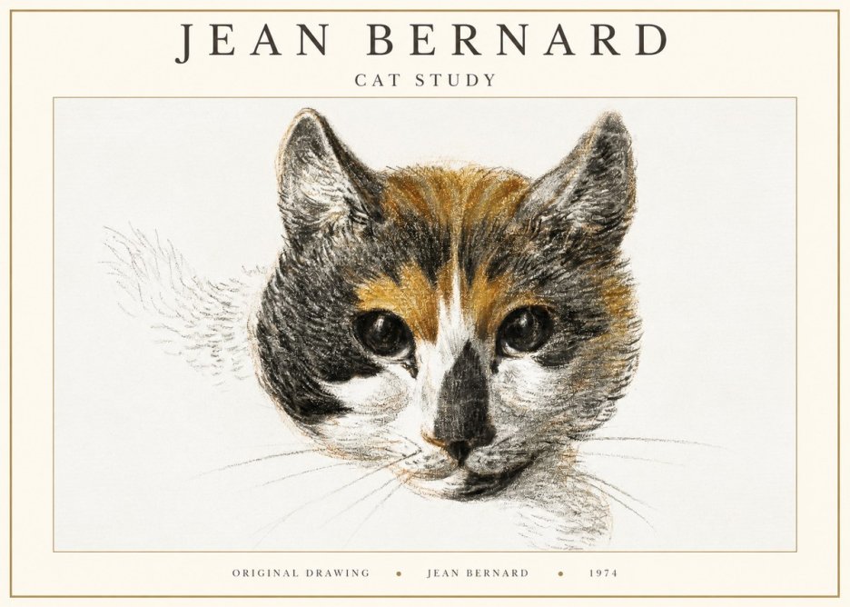 Jean Bernard Study of a Cat II No3 - Plakat