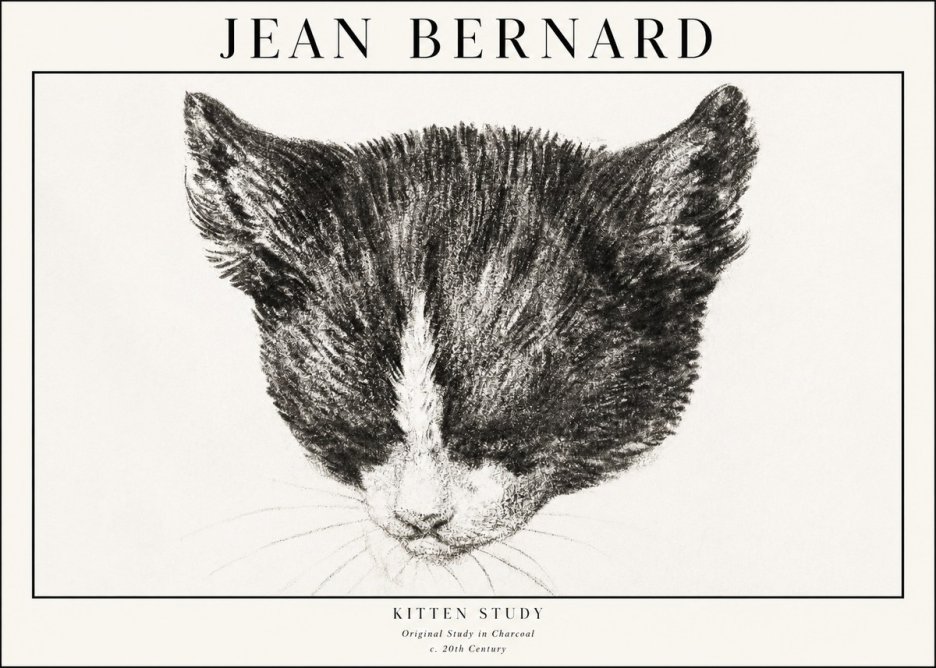 Jean Bernard Cat Study V No4 - Plakat
