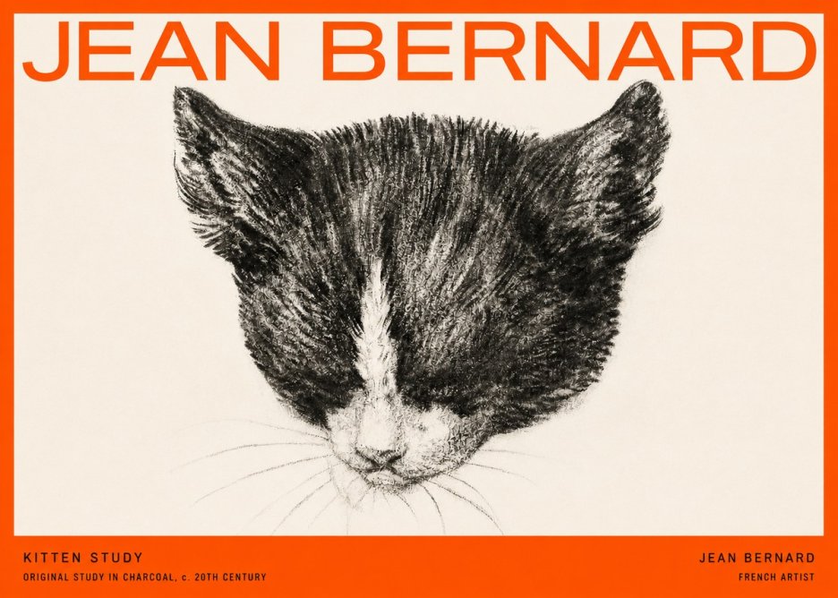 Jean Bernard Cat Study V No5 - Plakat
