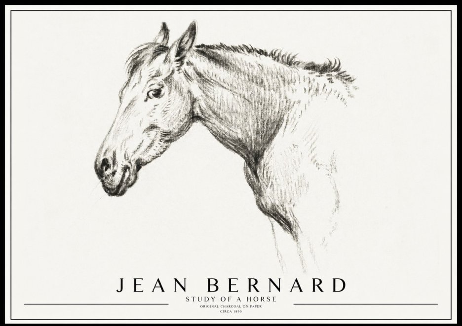 Jean Bernard Study of a Horse VI No3 - Plakat