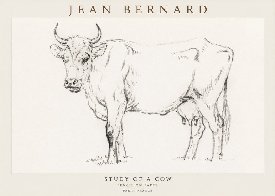 Jean Bernard Study of a Cow VI No3 - Plakat