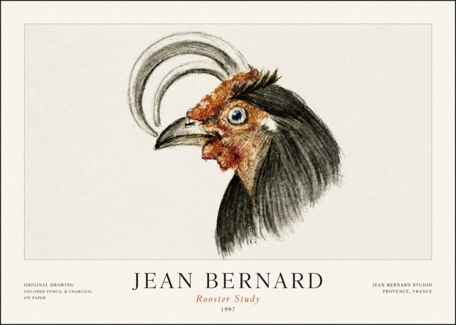 Jean Bernard Rooster Study No1 - Plakat