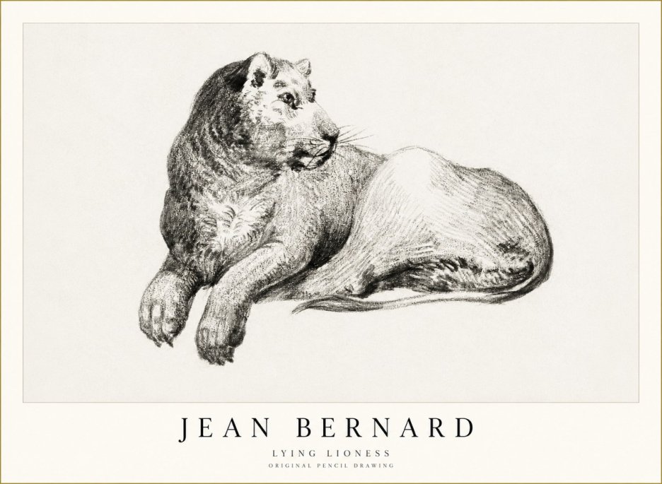 Jean Bernard Lying Lioness No1 - Plakat
