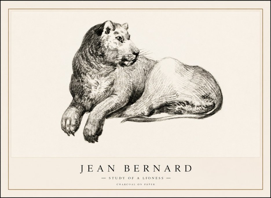 Jean Bernard Lying Lioness No2 - Plakat