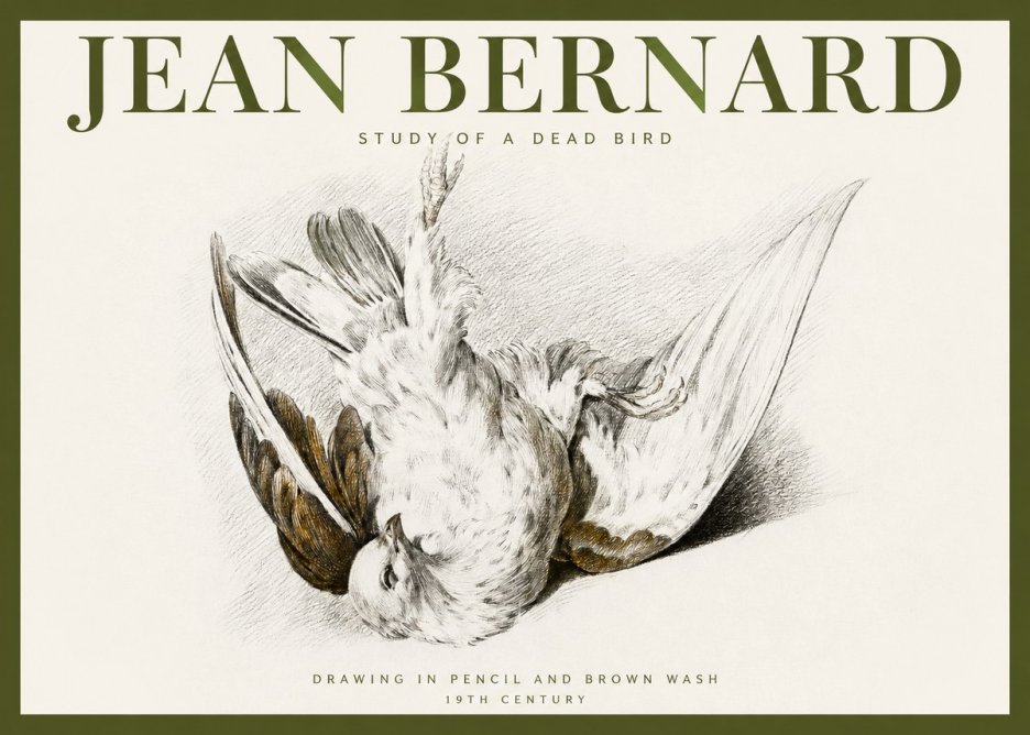 Jean Bernard Study of a Dead Bird No2 - Plakat