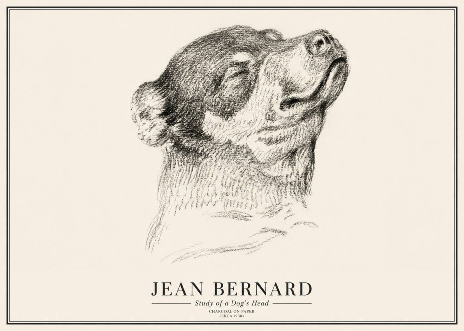 Jean Bernard Study of a Dog III No3 - Plakat