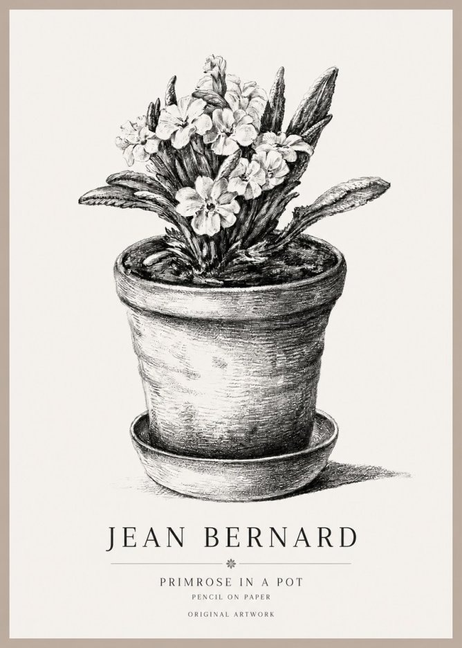 Jean Bernard Potted Primrose No2 - Plakat