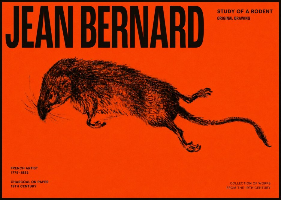 Jean Bernard Study of a Rat II No6 - Plakat