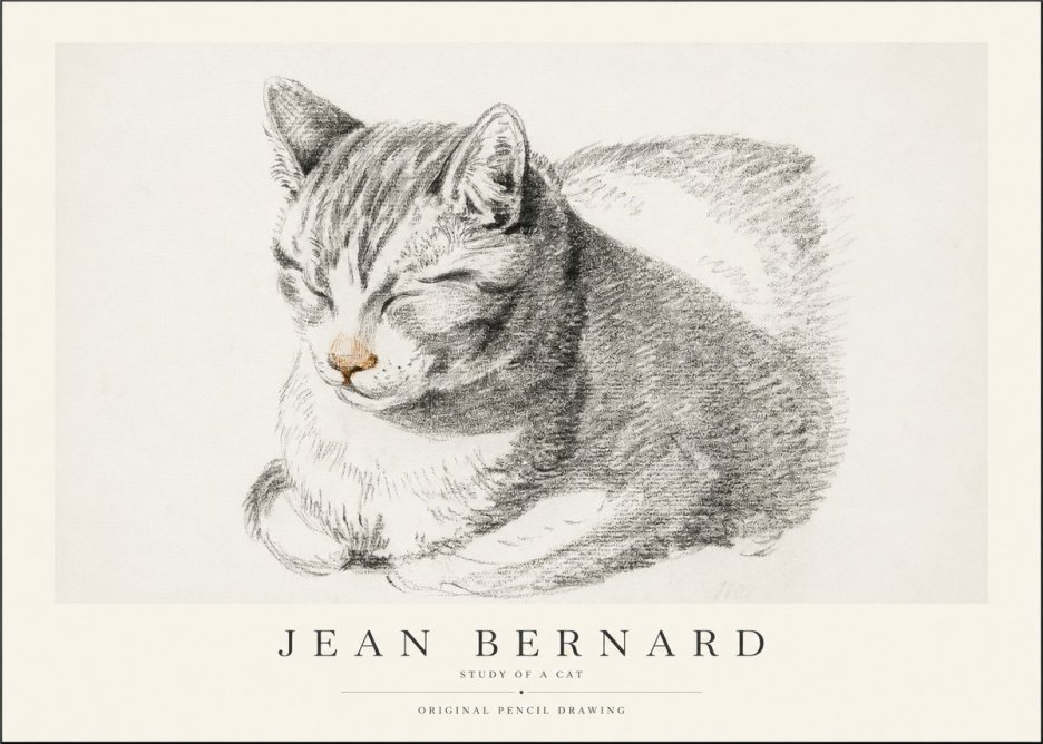 Jean Bernard Sleeping Cat VI No2 - Plakat