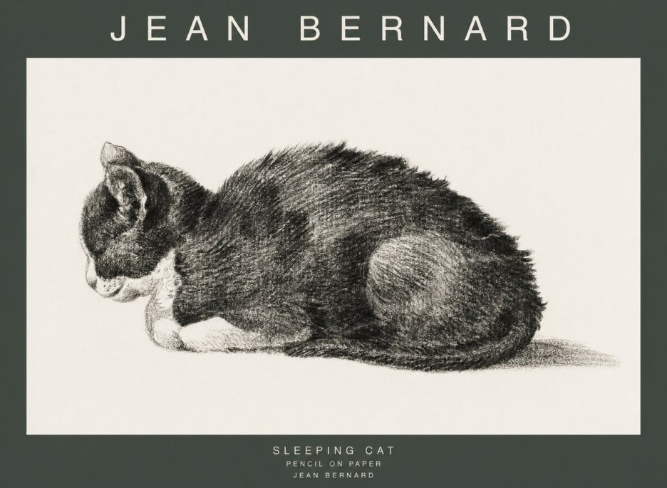 Jean Bernard Sleeping Cat VII No1 - Plakat