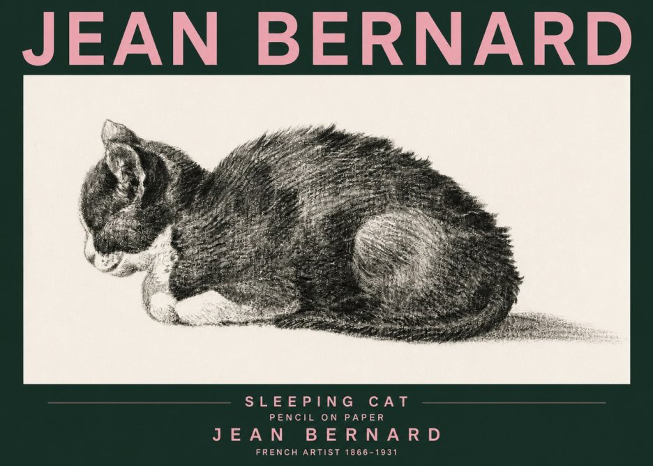 Jean Bernard Sleeping Cat VII No3 - Plakat