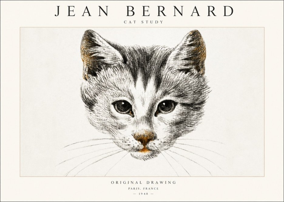 Jean Bernard Cat Study IX No6 - Plakat