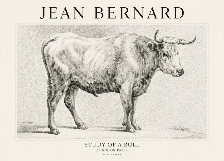 Jean Bernard Study of a Bull IV No1 - Plakat