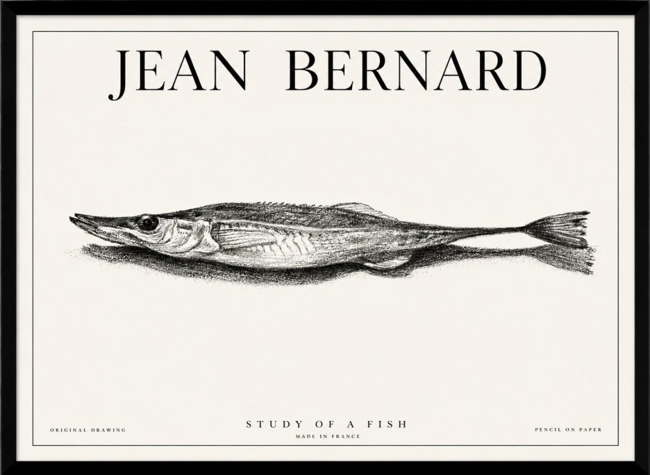 Jean Bernard Needlefish No6 - Plakat