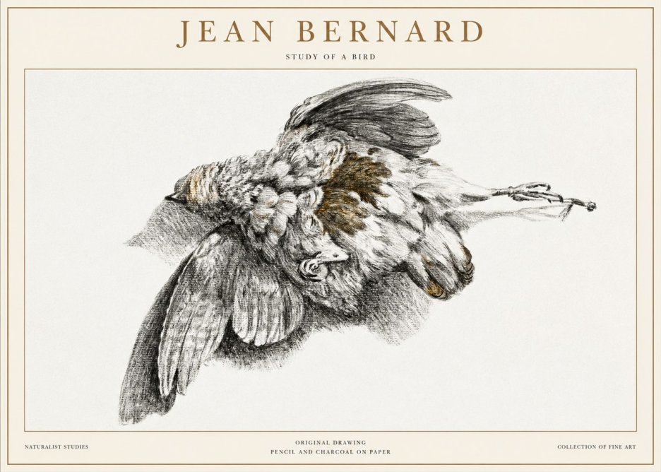 Jean Bernard Study of a Bird III No1 - Plakat