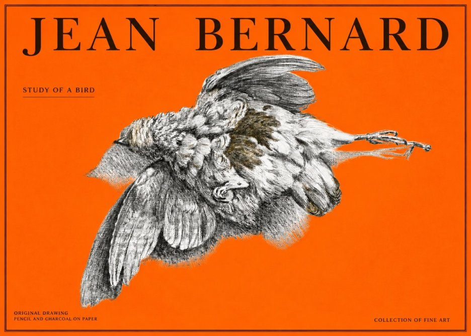 Jean Bernard Study of a Bird III No2 - Plakat