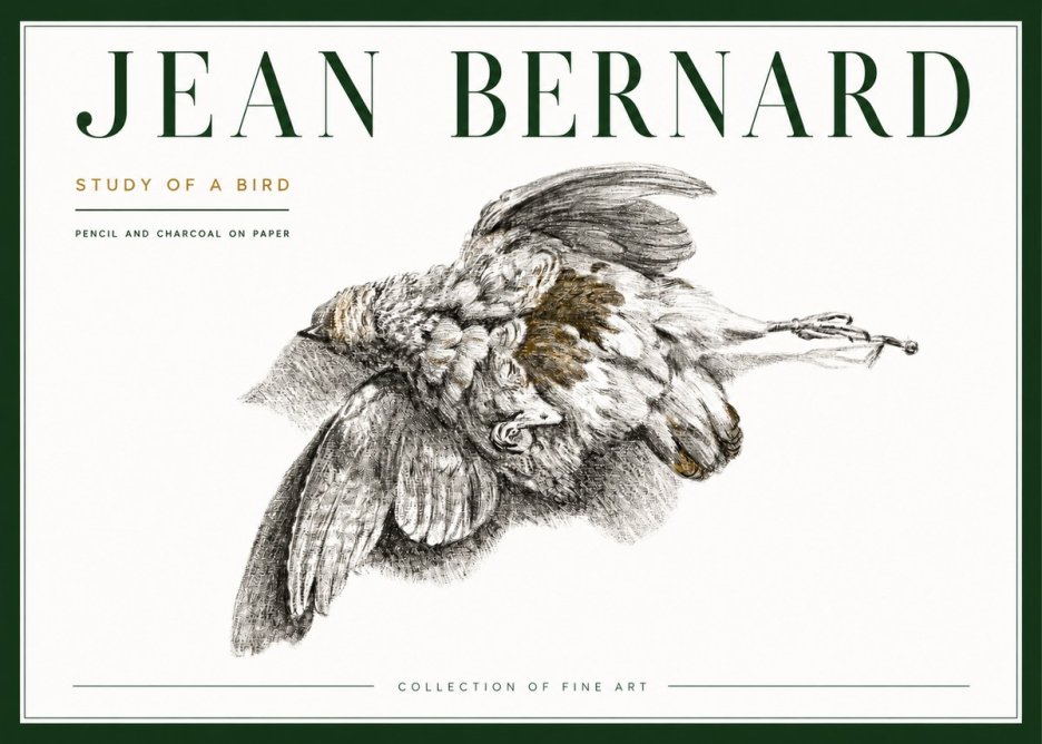 Jean Bernard Study of a Bird III No4 - Plakat