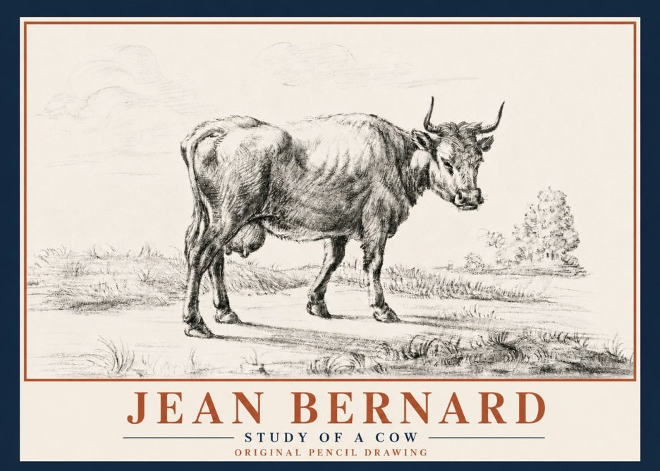 Jean Bernard Study of a Cow XII No5 - Plakat