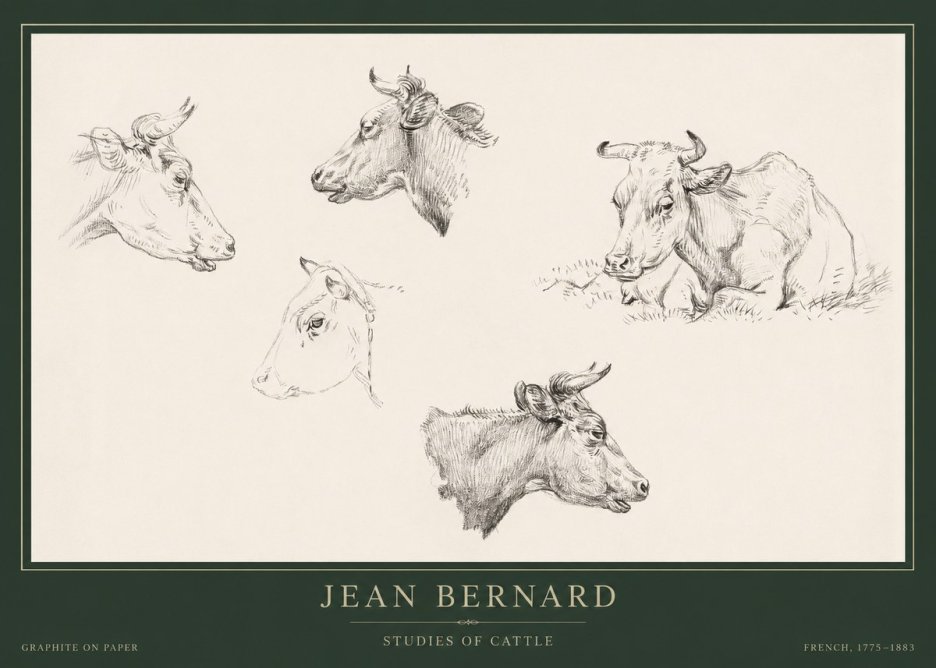 Jean Bernard Studies of Cows I No5 - Plakat