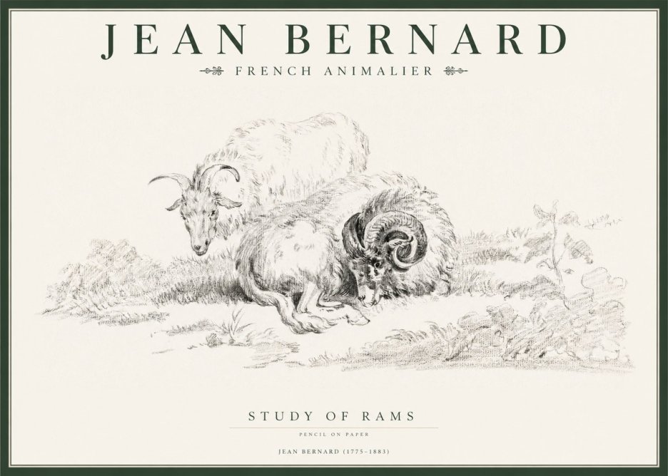 Jean Bernard Study of Sheep No2 - Plakat