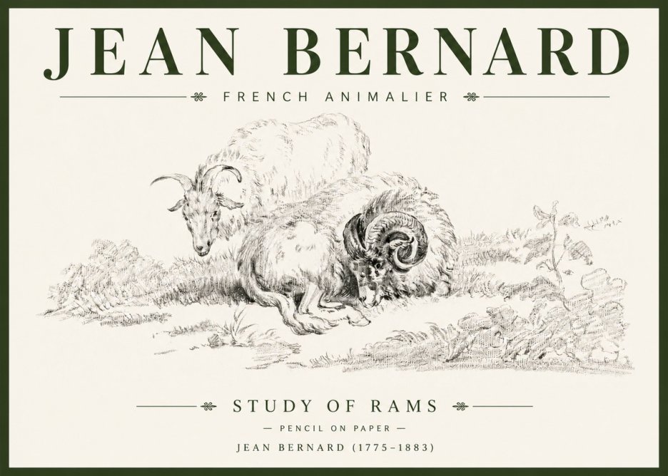 Jean Bernard Study of Sheep No6 - Plakat