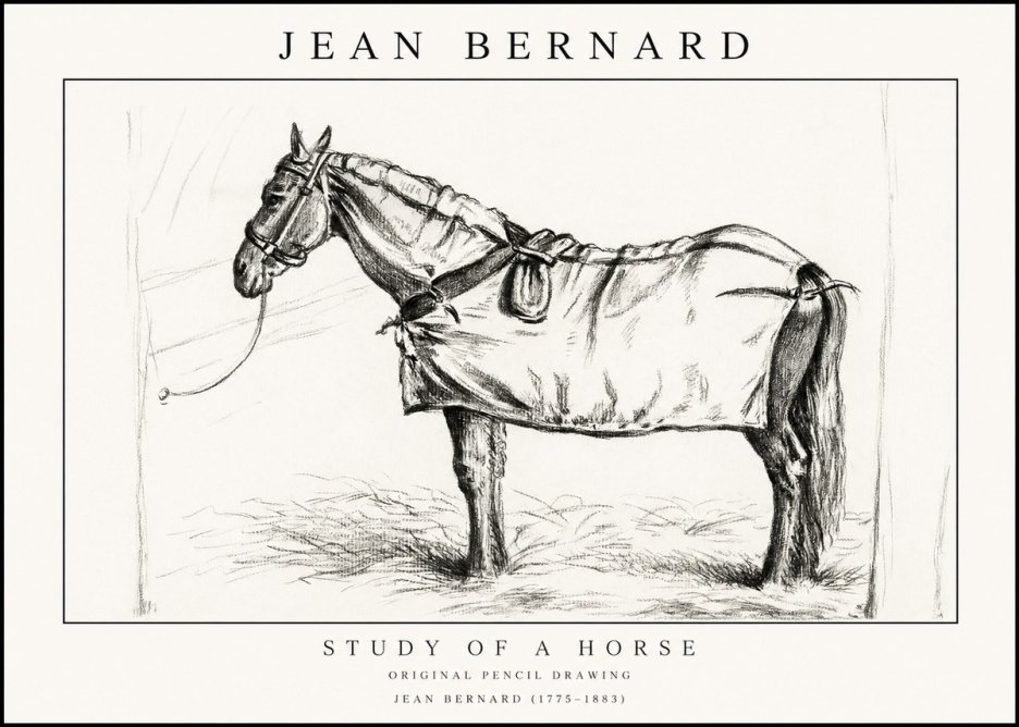 Jean Bernard Study of a Horse XI No1 - Plakat