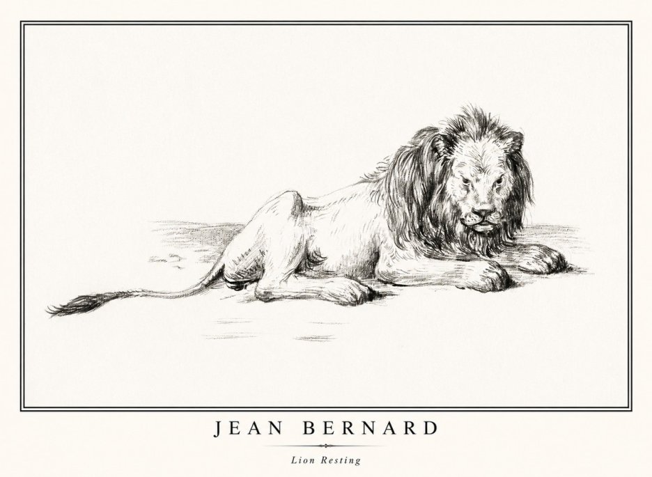 Jean Bernard Lion Resting No1 - Plakat