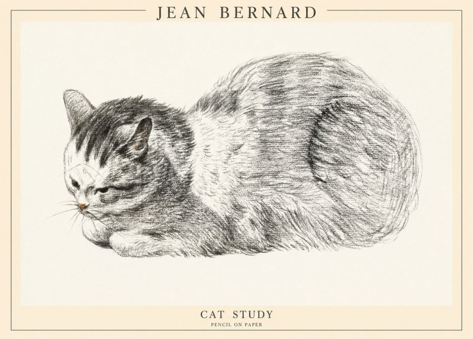 Jean Bernard Cat Study X No1 - Plakat