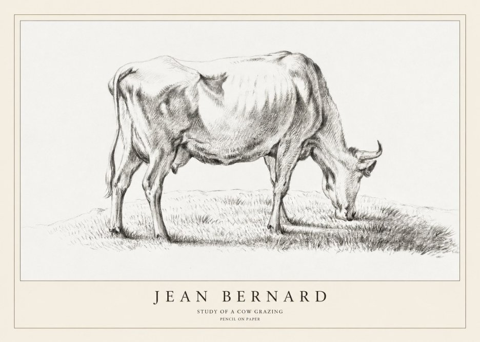 Jean Bernard Study of a Cow Grazing II No1 - Plakat