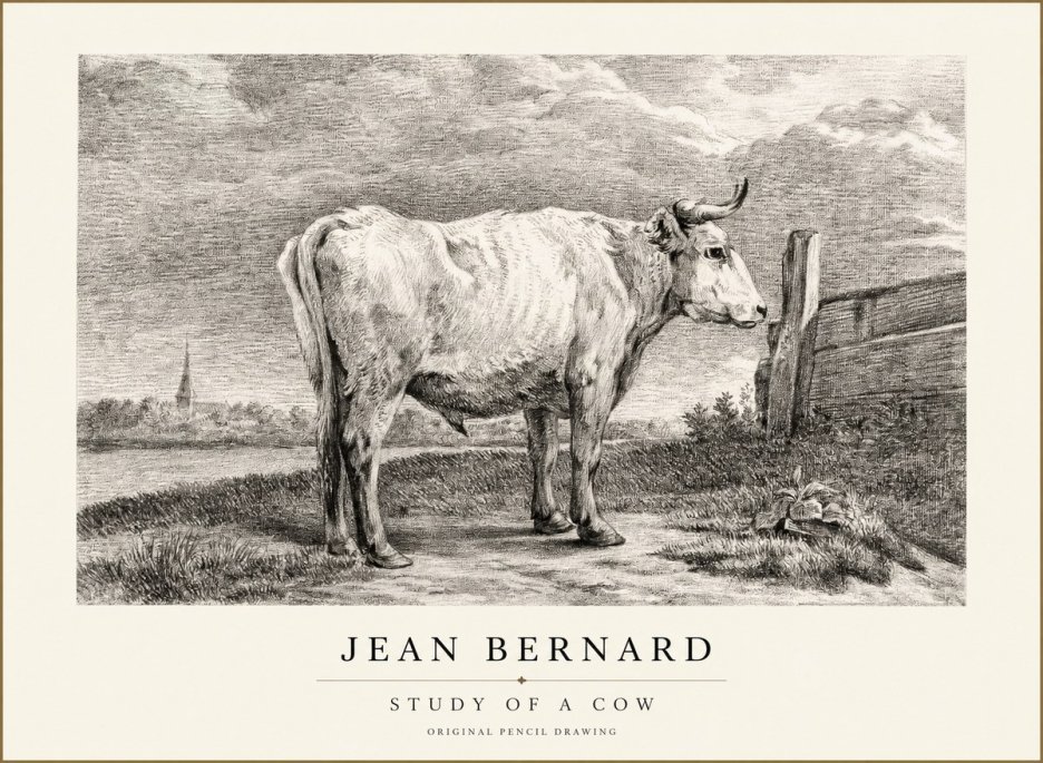 Jean Bernard Study of a Cow XV No1 - Plakat
