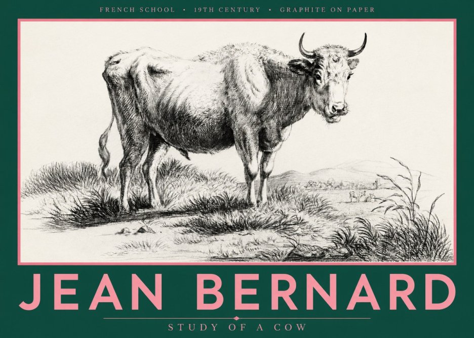 Jean Bernard Study of a Cow XVI No5 - Plakat