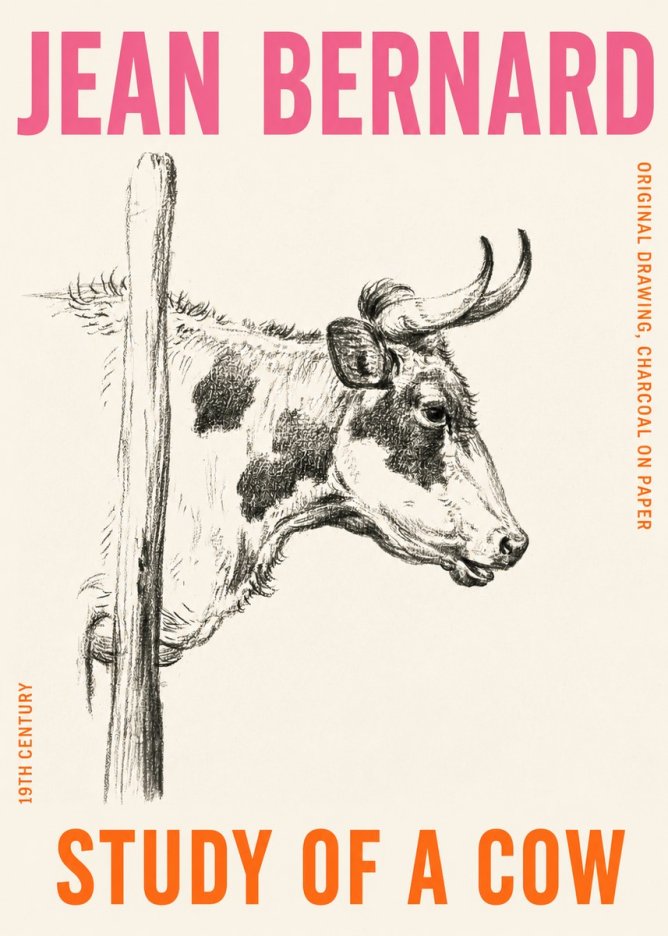 Jean Bernard Study of a Cow XVII No4 - Plakat