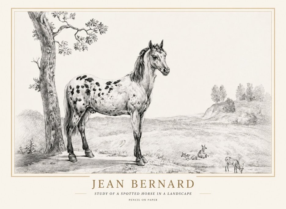 Jean Bernard Study of a Spotted Horse in a Landscape No1 - Plakat