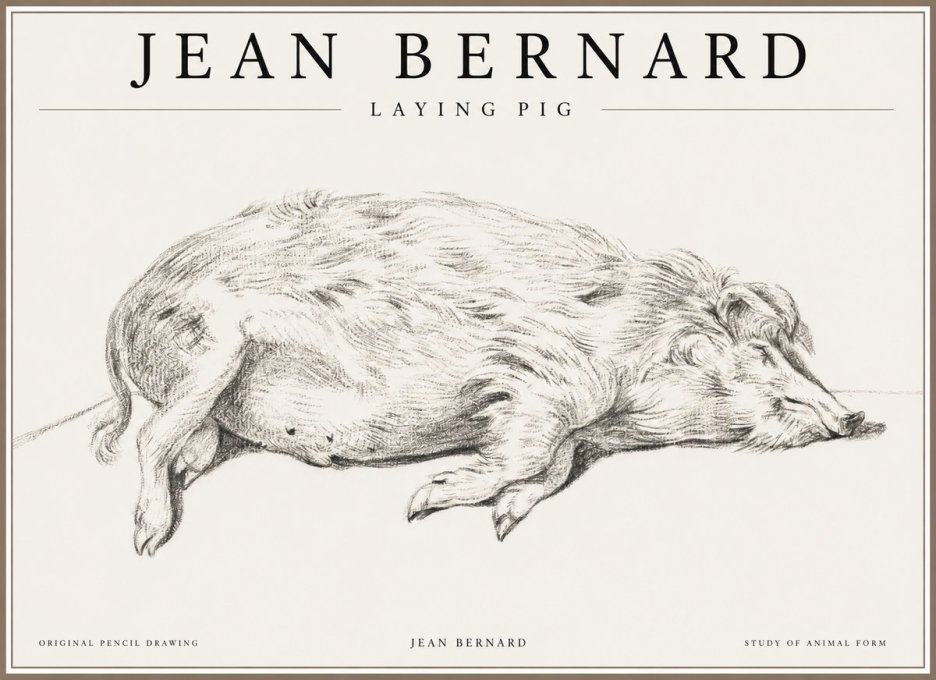 Jean Bernard Laying Pig No1 - Plakat