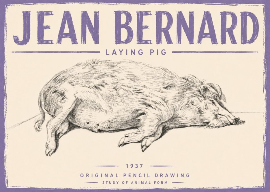 Jean Bernard Laying Pig No5 - Plakat