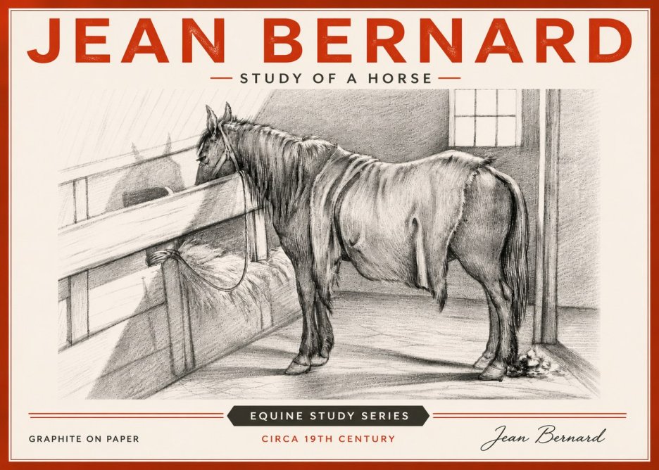 Jean Bernard Study of a Horse XIII No6 - Plakat