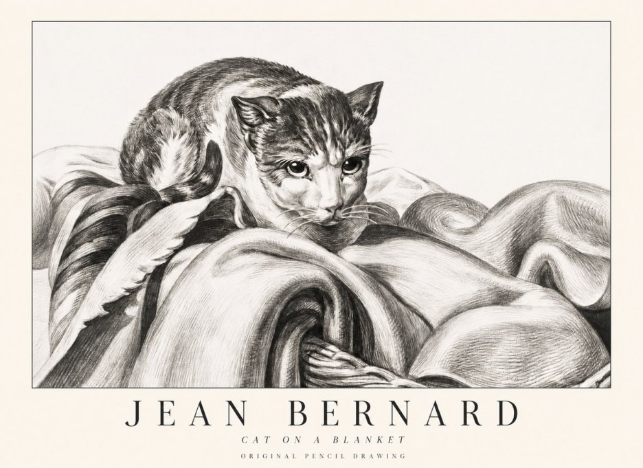 Jean Bernard Cat on a Blanket No1 - Plakat