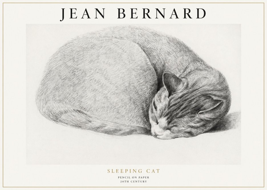 Jean Bernard Sleeping Cat IX No1 - Plakat
