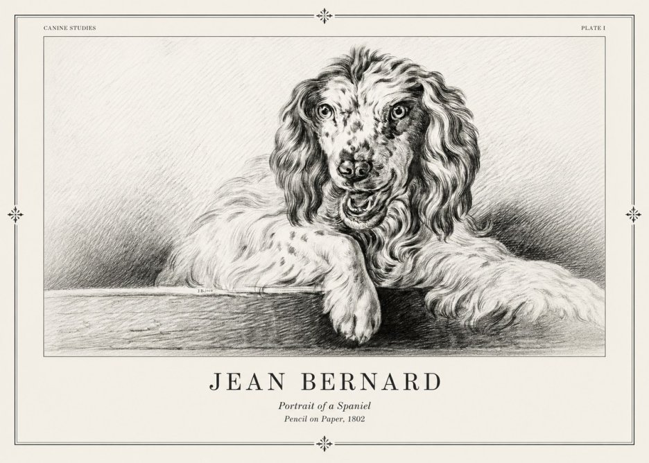 Jean Bernard Portrait of a Spaniel No2 - Plakat