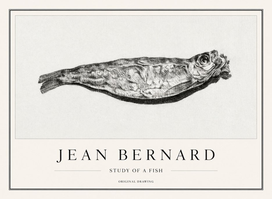 Jean Bernard Study of a Fish V No1 - Plakat