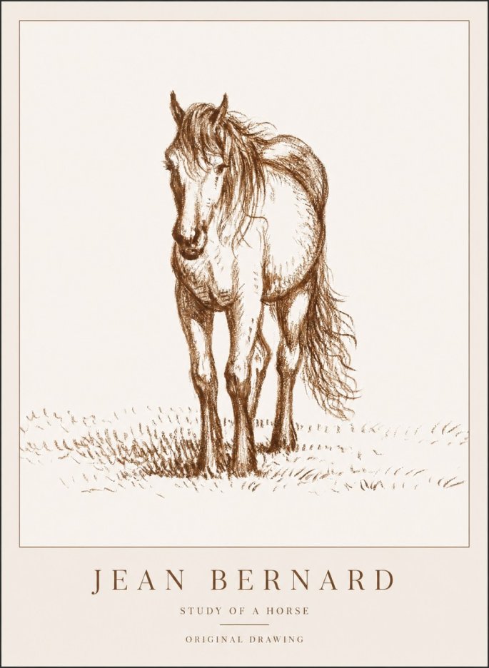 Jean Bernard Study of a Horse XV No1 - Plakat