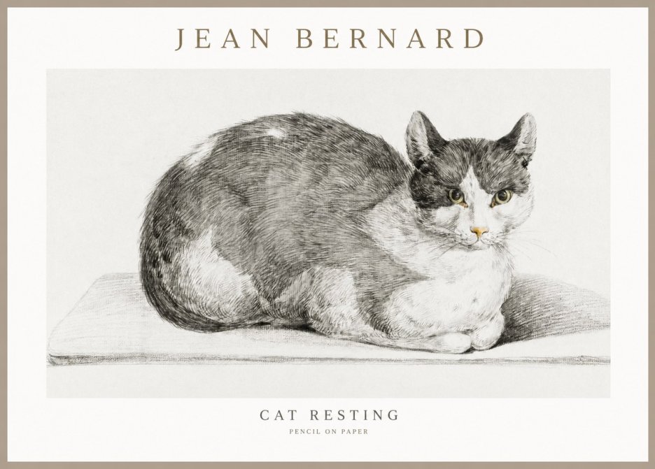 Jean Bernard Cat Study XI No3 - Plakat