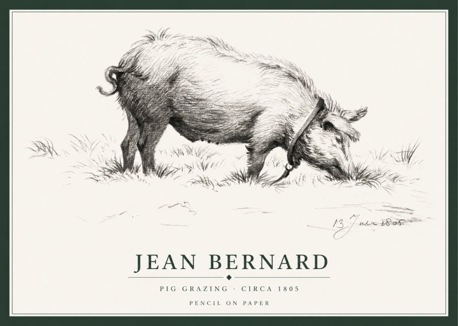 Jean Bernard Pig Grazing No1 - Plakat