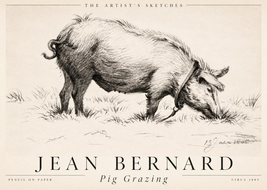 Jean Bernard Pig Grazing No2 - Plakat