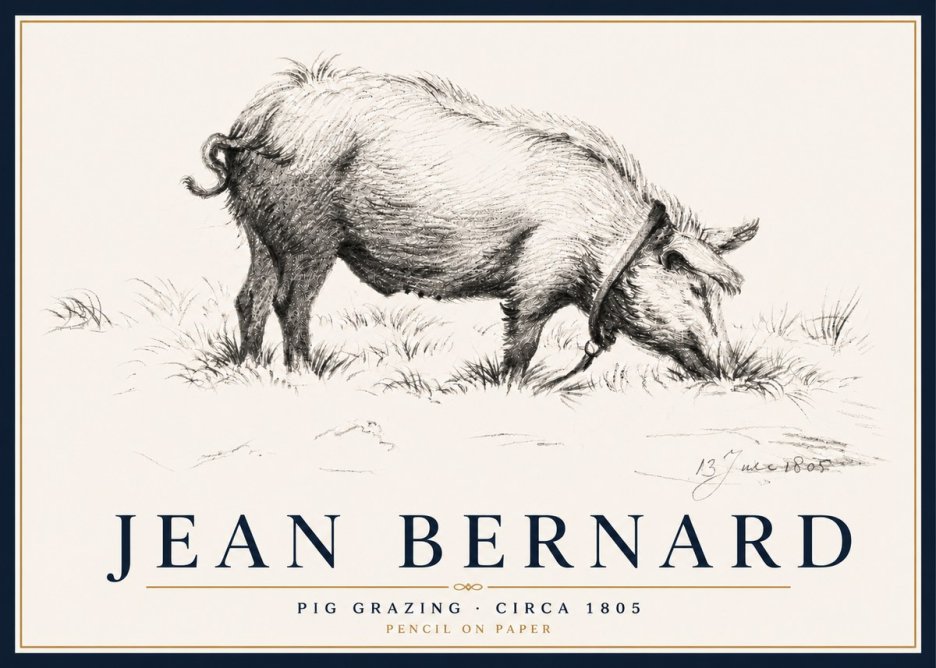 Jean Bernard Pig Grazing No5 - Plakat